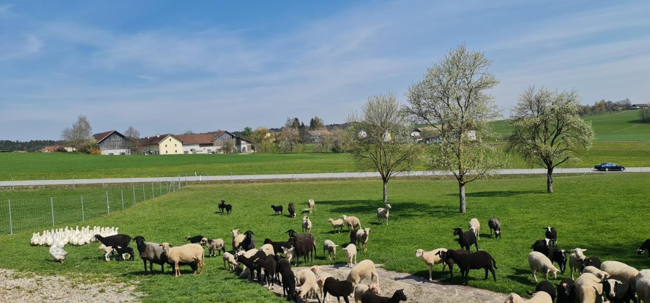 Landgasthof Entenwirt Tarsdorf Exterior photo